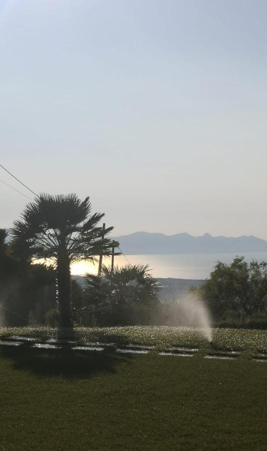 Villa Siciliana Con Piscina E Vista Panoramica Sul Mare Borgetto Zewnętrze zdjęcie