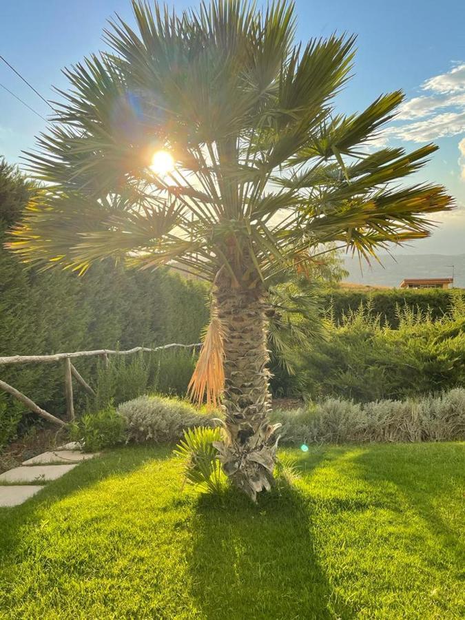 Villa Siciliana Con Piscina E Vista Panoramica Sul Mare Borgetto Zewnętrze zdjęcie